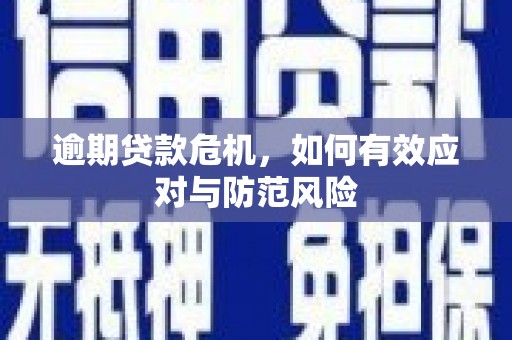 蒲江逾期贷款危机，如何有效应对与防范风险