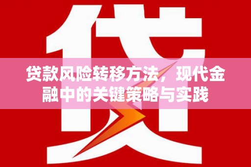 蒲江贷款风险转移方法，现代金融中的关键策略与实践