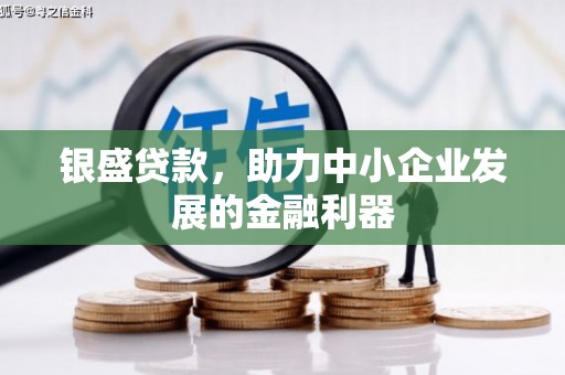 蒲江银盛贷款，助力中小企业发展的金融利器