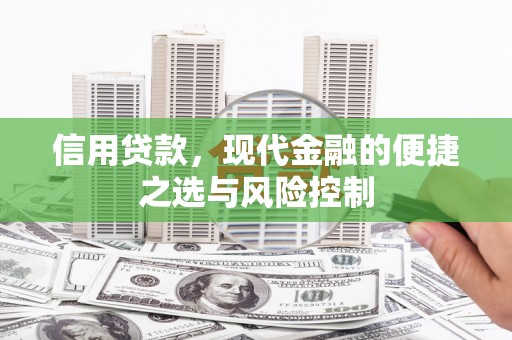 蒲江信用贷款，现代金融的便捷之选与风险控制