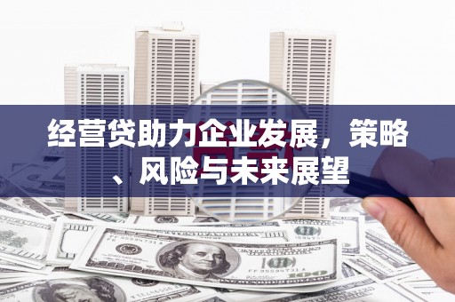 蒲江经营贷助力企业发展，策略、风险与未来展望