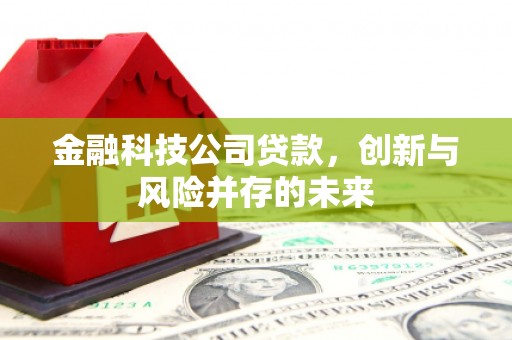 蒲江金融科技公司贷款，创新与风险并存的未来
