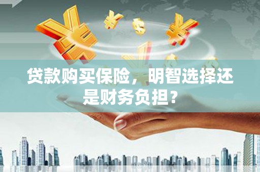 蒲江贷款购买保险，明智选择还是财务负担？