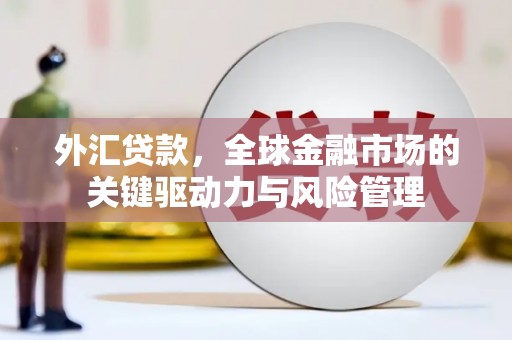 蒲江外汇贷款，全球金融市场的关键驱动力与风险管理