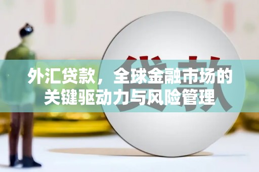 蒲江外汇贷款，全球金融市场的关键驱动力与风险管理