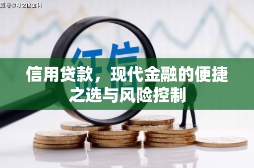 蒲江信用贷款，现代金融的便捷之选与风险控制