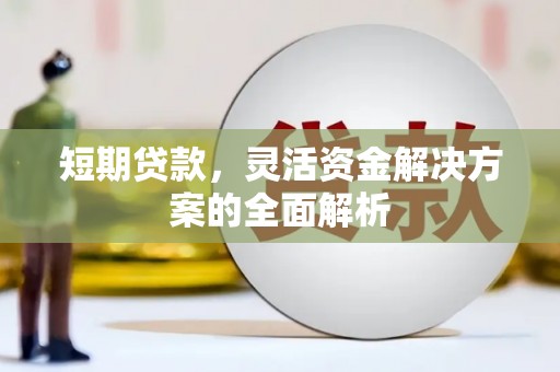 蒲江短期贷款，灵活资金解决方案的全面解析