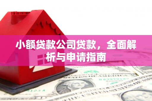 蒲江小额贷款公司贷款，全面解析与申请指南