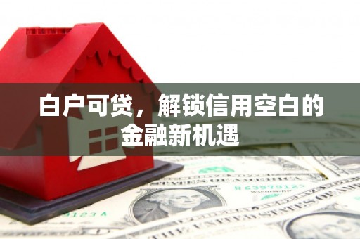 蒲江白户可贷，解锁信用空白的金融新机遇