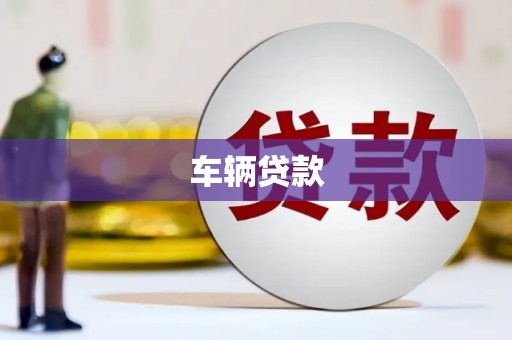 蒲江车辆贷款