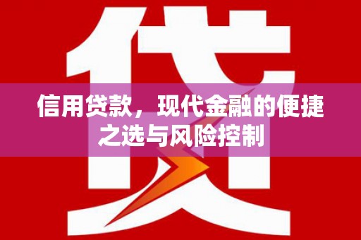 蒲江信用贷款，现代金融的便捷之选与风险控制