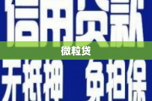 蒲江微粒贷
