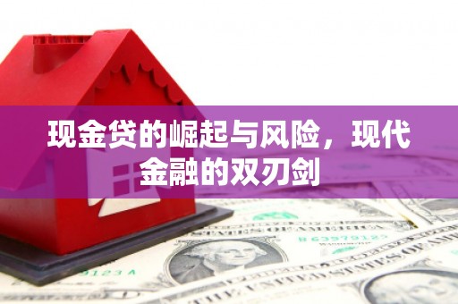 蒲江现金贷的崛起与风险，现代金融的双刃剑