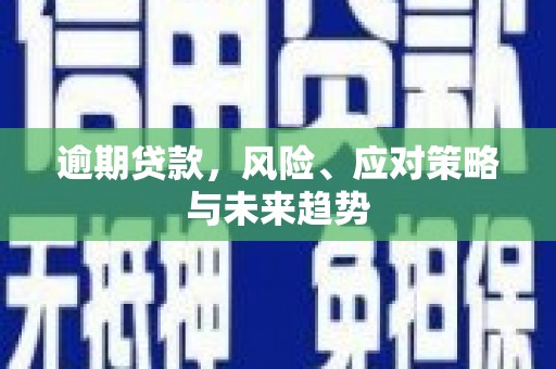 蒲江逾期贷款，风险、应对策略与未来趋势