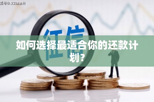 蒲江如何选择最适合你的还款计划？