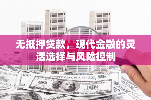 蒲江无抵押贷款，现代金融的灵活选择与风险控制