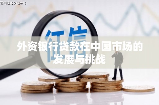蒲江外资银行贷款在中国市场的发展与挑战