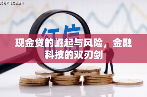 蒲江现金贷的崛起与风险，金融科技的双刃剑