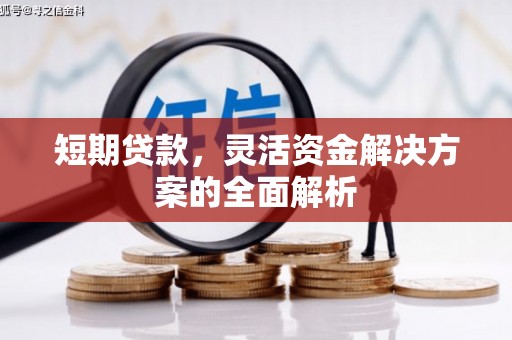 蒲江短期贷款，灵活资金解决方案的全面解析