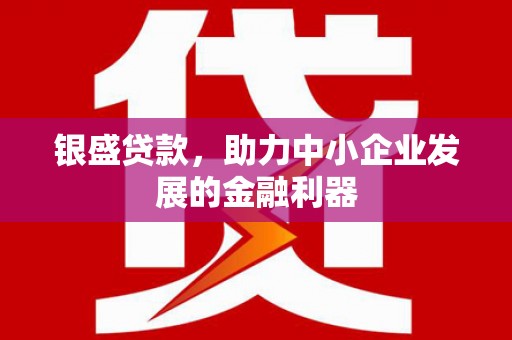 蒲江银盛贷款，助力中小企业发展的金融利器