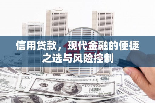 蒲江信用贷款，现代金融的便捷之选与风险控制