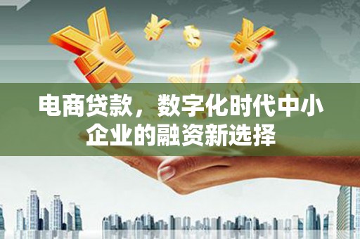 蒲江电商贷款，数字化时代中小企业的融资新选择