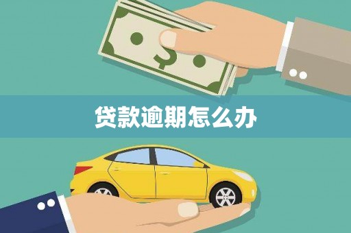 蒲江贷款逾期怎么办