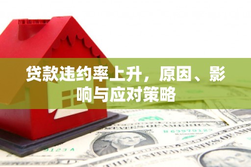 蒲江贷款违约率上升，原因、影响与应对策略