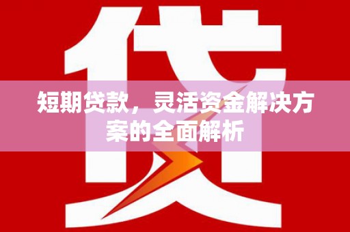 蒲江短期贷款，灵活资金解决方案的全面解析