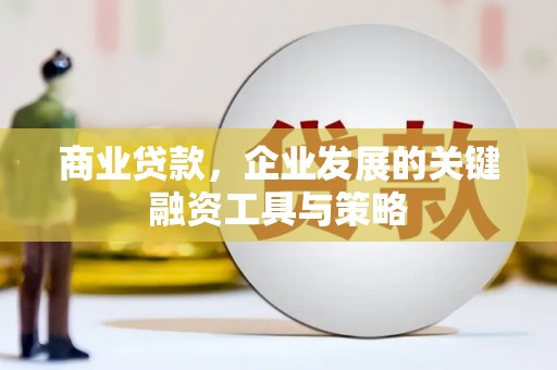蒲江商业贷款，企业发展的关键融资工具与策略
