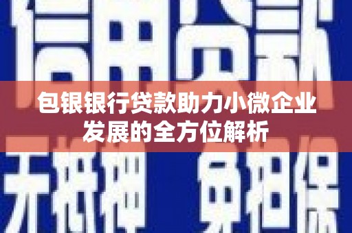 蒲江包银银行贷款助力小微企业发展的全方位解析