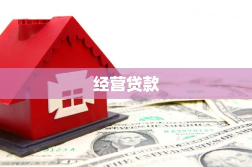 蒲江经营贷款
