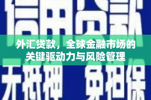 蒲江外汇贷款，全球金融市场的关键驱动力与风险管理