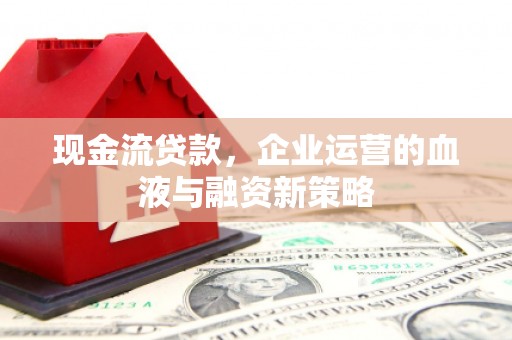 蒲江现金流贷款，企业运营的血液与融资新策略