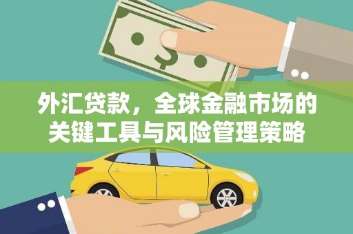 蒲江外汇贷款，全球金融市场的关键工具与风险管理策略