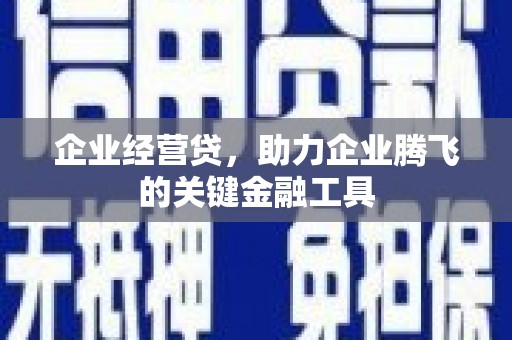 蒲江企业经营贷，助力企业腾飞的关键金融工具
