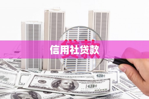 蒲江信用社贷款