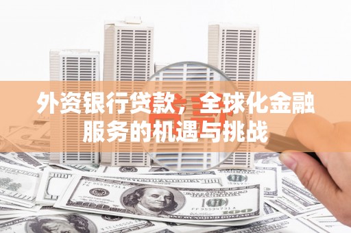 蒲江外资银行贷款，全球化金融服务的机遇与挑战