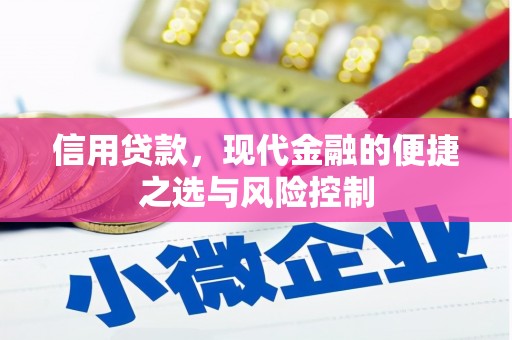 蒲江信用贷款，现代金融的便捷之选与风险控制