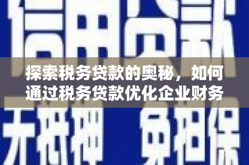 蒲江探索税务贷款的奥秘，如何通过税务贷款优化企业财务