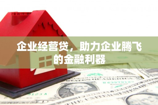 蒲江企业经营贷，助力企业腾飞的金融利器