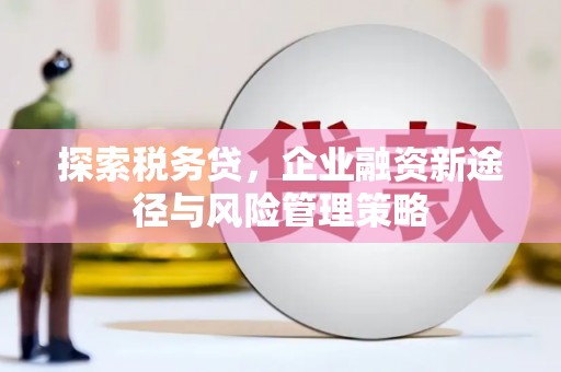 蒲江探索税务贷，企业融资新途径与风险管理策略