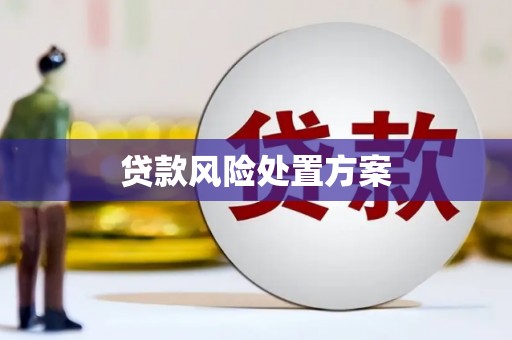 蒲江贷款风险处置方案