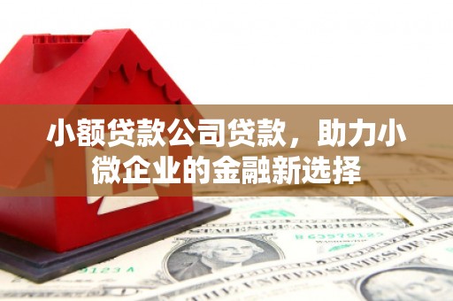 蒲江小额贷款公司贷款，助力小微企业的金融新选择