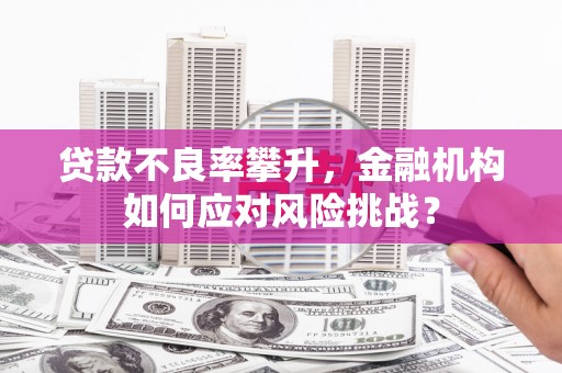 蒲江贷款不良率攀升，金融机构如何应对风险挑战？