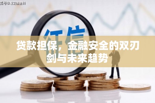 蒲江贷款担保，金融安全的双刃剑与未来趋势