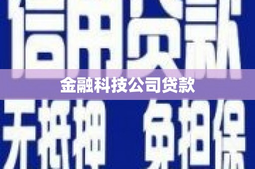 蒲江金融科技公司贷款