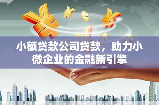 蒲江小额贷款公司贷款，助力小微企业的金融新引擎