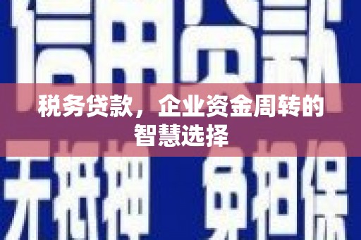 蒲江税务贷款，企业资金周转的智慧选择