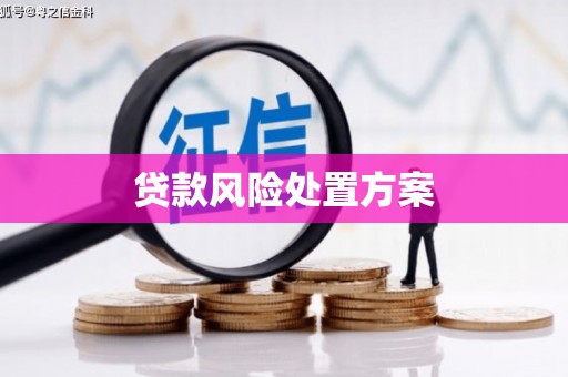 蒲江贷款风险处置方案